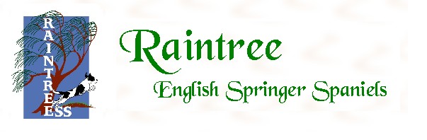 Raintree English Springer Spaniels, Wisconsin