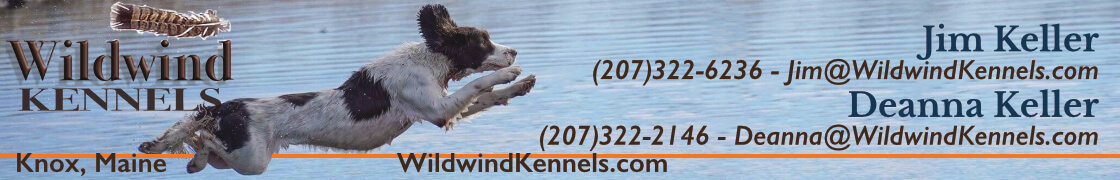 Wildwind Kennels