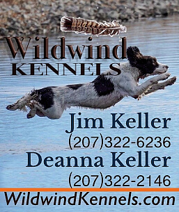 Wildwind Kennels